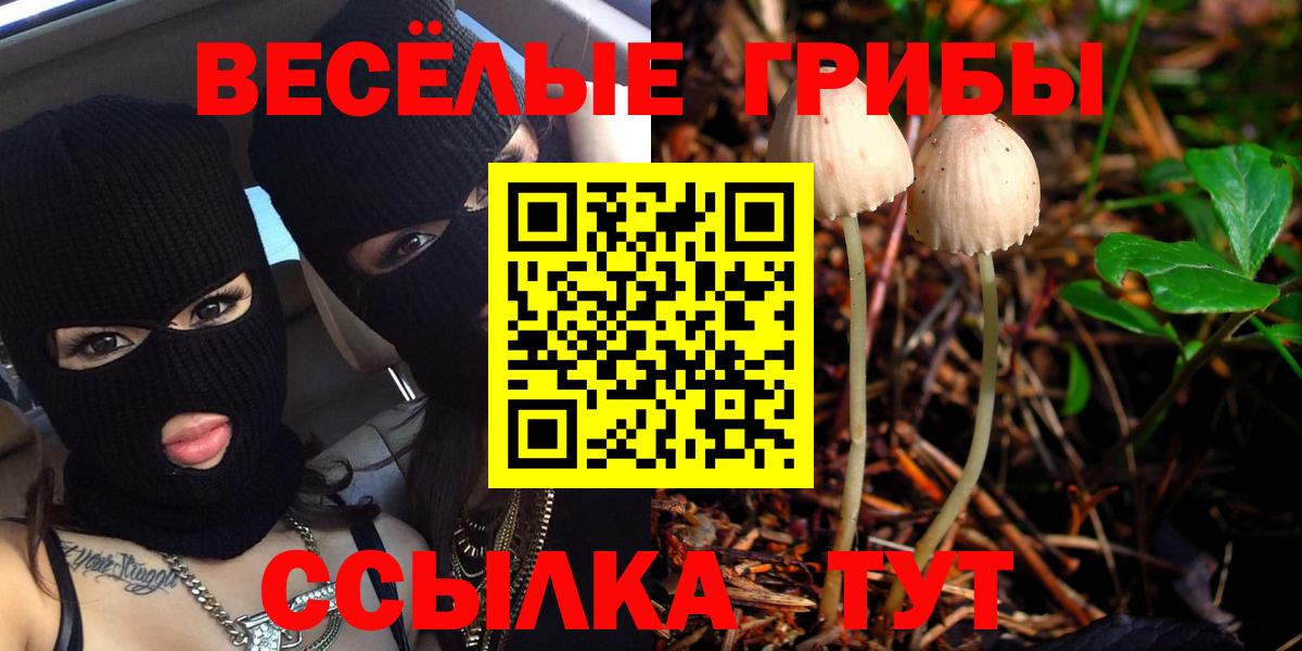 Псилоцибиновые грибы MAGIC MUSHROOMS  Вход с VPN  Асино 